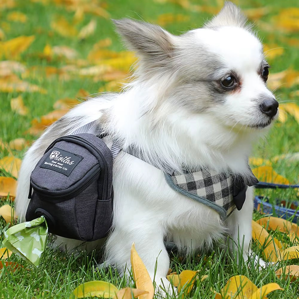 Portable Dog Training Treat Bag Outdoor Pet Dog Treat Pouch Puppy Snack Reward Waist Bag Dog Poop Bag Dog Carriers Bags